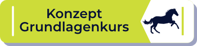 zum gesamten Konzept Grundlagenkurs zum gesamten Konzept Grundlagenkurs